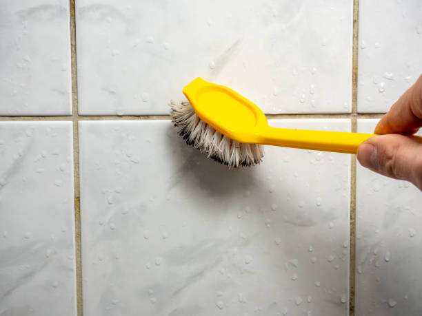 Best Affordable Mold Removal  in Larksville, PA