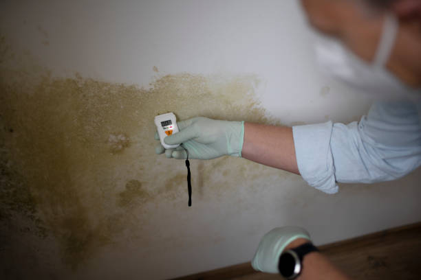 Best Water Damage Restoration  in Larksville, PA