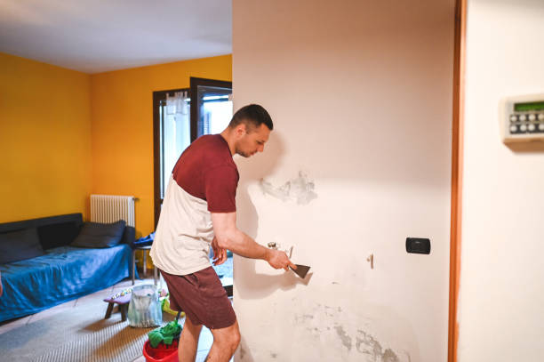 Mold Removal and Inspection in Larksville, PA